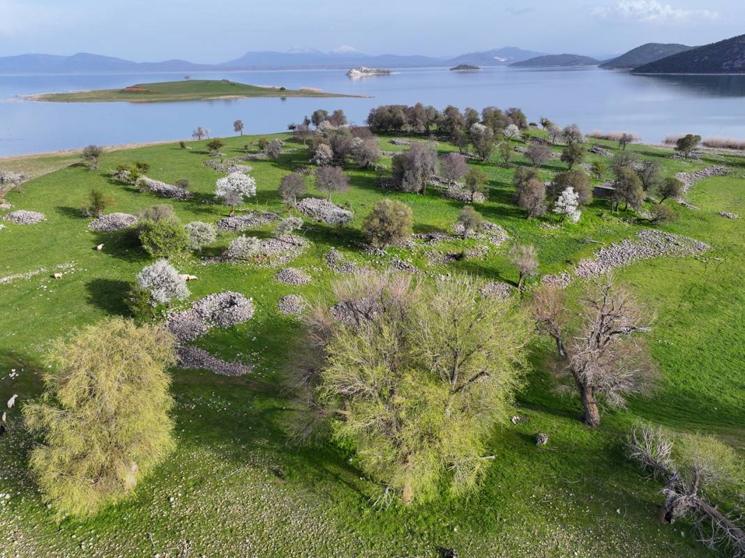 Konya'da adeta cennetten bir köşe! Bir tarafta karlı dağlar, diğer yanda bahar 4